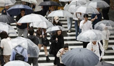 Japan launches nationwide probe after fake job seeker scandal