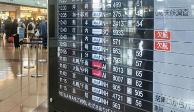 Japan's ANA cancels over 60 domestic flights due to Airbus software problem