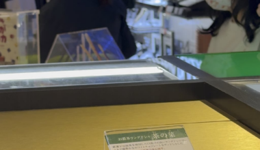 Saw this in Narita Airport, not sure if this is normal behaviour