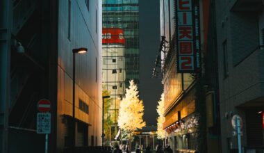 Early December in Tokyo, Kamakura