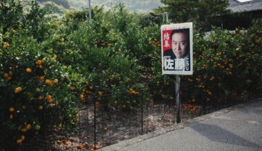 Passing the Mikan Orchards