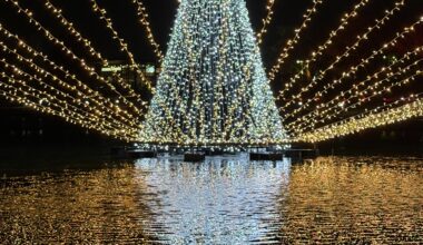 Christmas mood