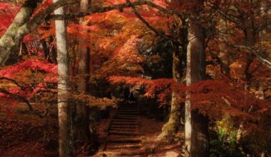 Ryuonji Temple, Kyoto