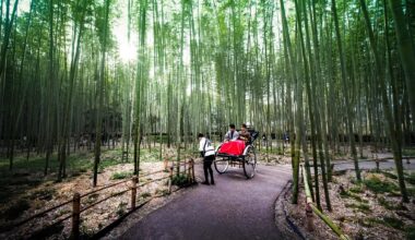 嵐山竹林 Arashiyama Bamboo Forest, Kyoto