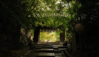 Kyoto & Himeji Trip pics & video
