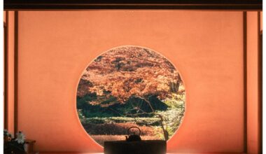 Who knew early-December could still be so autumnal!