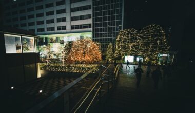 Shinjuku in November