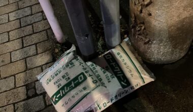 What the hell are these bags I’m seeing everywhere?