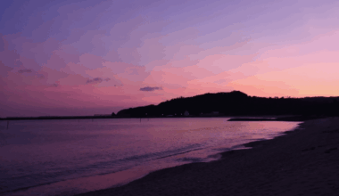 The incredible purple glow over Kunigami, Yanbaru. Taken 11/15/2019.