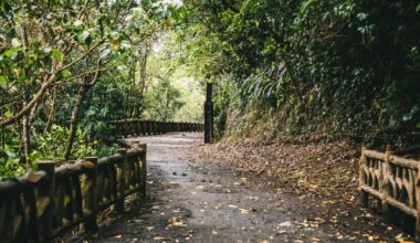 Beauty around every corner