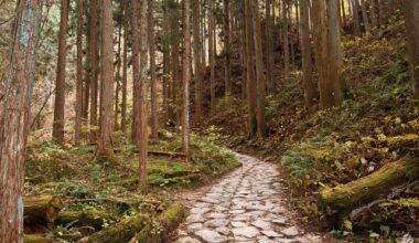Nakasendo Trail