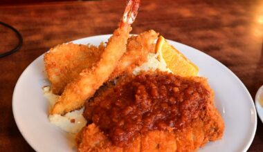 Mixed Fry Plate and Amazing Food Samples