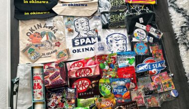 Going home for the holidays…