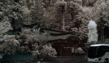 It's always strange to see buses so close to temples, Tokyo.
