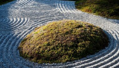 Zen at Tofukuji (Dec 2025)