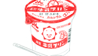 Where can I find this pudding in Japan?