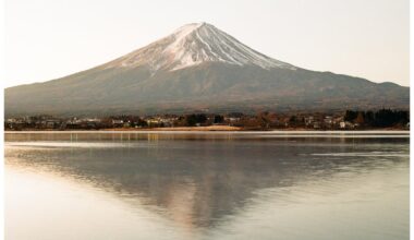 Fuji-san on Fujifilm - yes, an actual film camera