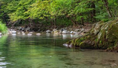 Finding Stillness in the Waters of the Kinomata River