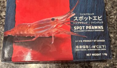 Frozen Spot Prawn 🦐
