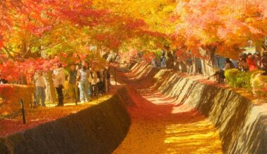 Mid-November in Fujikawaguchiko