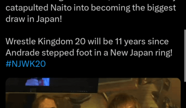 Is there a chance the second mystery partner for UE is Naito?