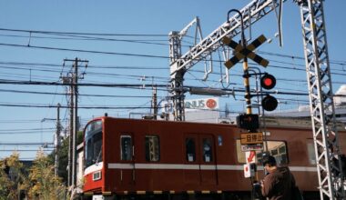 Eleven Days of Densha
