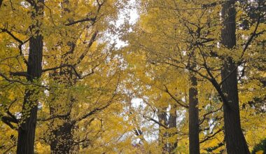 Different Shades Of Autumn