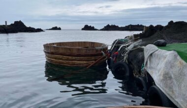 Photos taken around the coast of Sado Island in Spring 2024.