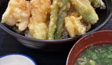 TENDON