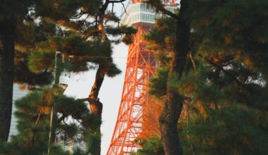 Random December Pics