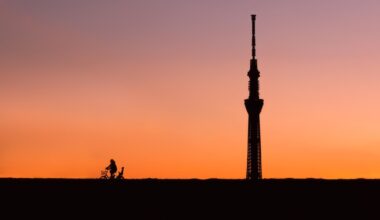 Sunset with Skytree [OC]