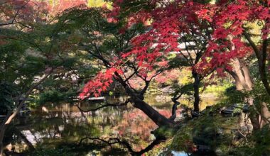 Tokyo in late November