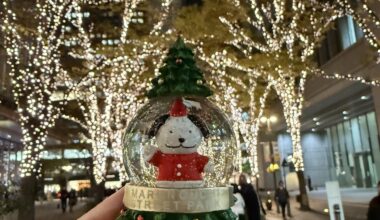 It was too cute, so I had to buy it!🎄