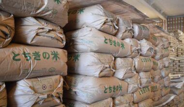 Japan's Average Rice Price Sets New Record High
