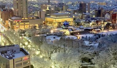 Beautiful snowy night at Toyama City