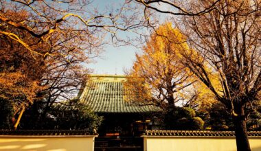 Yesterday morning at Enzoji, Saitama City