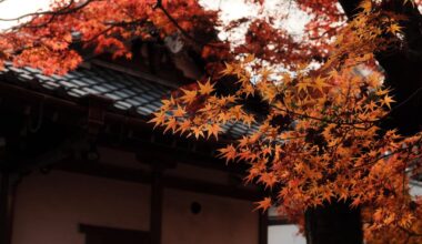 Japan in early December