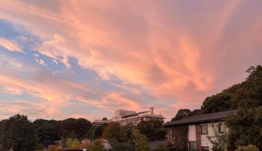 I’m not sure where exactly this photo is, all I could remember was that it was near Ueno park. The sky looked good, reminds me of the Heaven or Las Vegas album by the Cocteau Twins