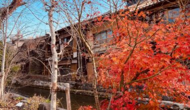 京都に行きました。