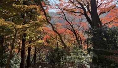 temple autumn