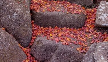 Hokokuji Temple, Kamakura