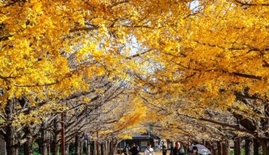 Showa Kinen Park, Tachikawa