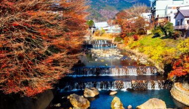 Fall in Hakone