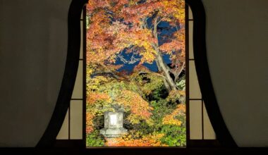 Picturesque autumn leaves seen from the window at Tentokuin (Tofukuji-temple area) in🇯🇵Kyoto.