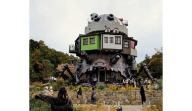 Random photos from a solo trip, November 2025 (2/2)