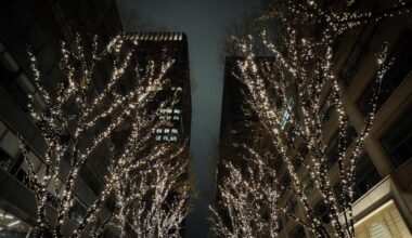 Tokyo’s Winter Illuminations , Amazing Atmosphere