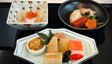 I’m from Japan but live abroad - my last Japanese meals are always on the plane 🥲