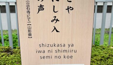 Haiku in the wild