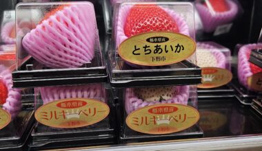 Who the hell would...