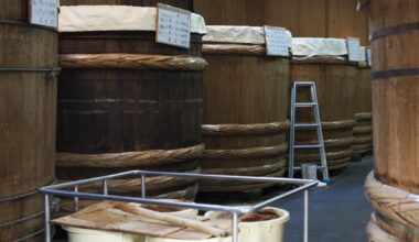 Advice on first time in Japan